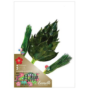 A&K t STCY (2{g) _Iɏɏ邱Ƃłj͋̕C(SKK-014S) 񂹏i