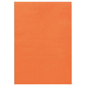 TPS Fp l  1pbN(10)(CDP4-B09) ڈ݌=