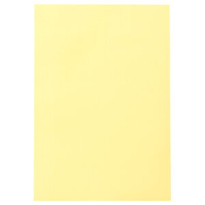 TPS Fp  N[ 1pbN(10)(CDP8-A02) ڈ݌=