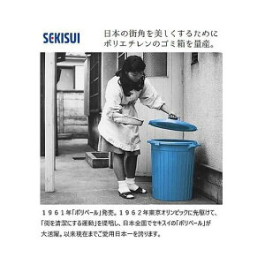 ZLXC GR|y[p^ (1)(4580167560686) ڈ݌=