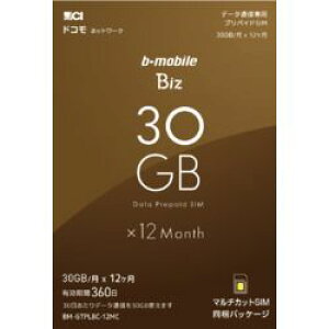 {ʐM b-mobile Biz SIMpbP[W(DC/}`)(BM-GTPLBC-12MC) 񂹏i