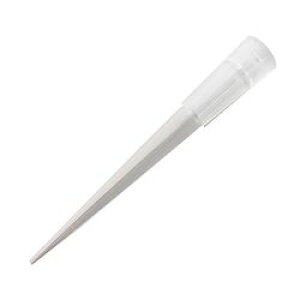 IJY MS|T|200|2 MSIT`bv (1(1000{)) 񂹏i