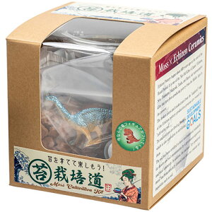 rbNA[ rbOA[ XiSP͔|Lbgۍ͔|(bigarrow-saibaikitin) 񂹏i