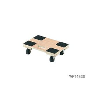 ؐ 450×300×135mm (1)(WFT4530) ڈ݌=