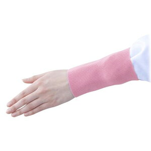 ٕh~oh(Xgoh)@sN (1o)(4582110955631) ڈ݌=