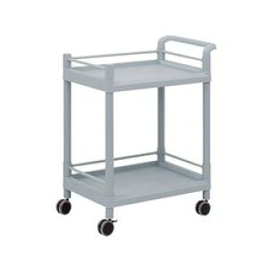 AY oCXg[WJ[giK[hgEnhtj 2i 705×447×887 M(MSO21G) ڈ݌=