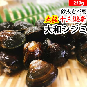 ԉHӏX X̖IyY Ⓚzsv \OΎY aVW~ `嗱 250g Yi