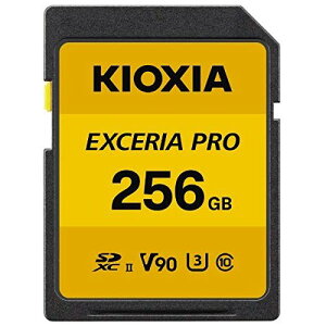KIOXIA LINVA KSDXU-A256G 񂹏i