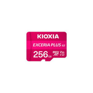 KIOXIA LINVA KMUH-B256G 񂹏i