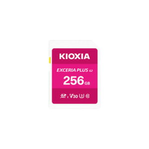 KIOXIA LINVASD KSDH-B256G 񂹏i