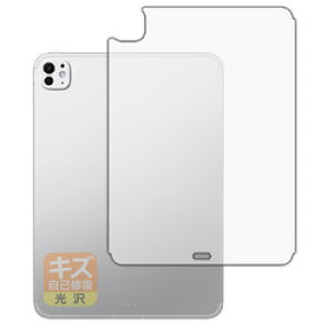 jo[TVXeY LYȏCtB iPad Pro 11C` 2024 wʗp Cellular(120PDA60343978) 񂹏i