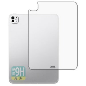 ���j�o�[�T���V�X�e���Y 9H ����t�B���� iPad Pro 11�C���` 2024 �w�ʗp Cellular(120PDA60377601) ���񂹏��i