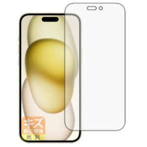 jo[TVXeY LYȏCtB iPhone 15 Plus ʗp(120PDA60343013) 񂹏i