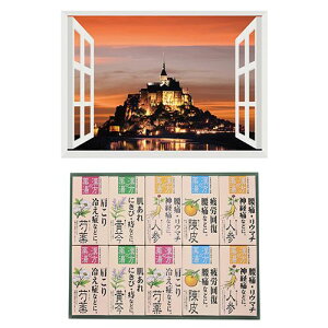 v C̃|X^[ EY T~VF + p܃MtgZbg(B6133529+8100444) 񂹏i