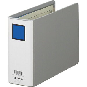 �L���O�W�� KING JIM �y10�Z�b�g�z �L���O�W�� �L���O�t�@�C��G B6E �O���[(KJ-925NX10) ���񂹏��i