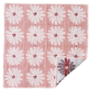 Pocchi y5Zbgz Pocchi 3dK[[nJ` (22556014X5) 񂹏i