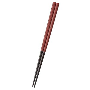 TCt y5Zbgz TCt a 21cm(114919X5) 񂹏i