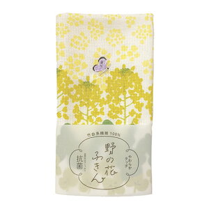 bv y5Zbgz Rۂӂ |R@ێgp ̉Ԃӂ ؂̉/CG[(REP-565407X5) 񂹏i