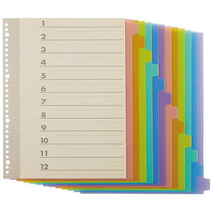 TPS CfbNX(PP) A4^e 2E4E30 12R1g 1pbN(TI-A4-12P) ڈ݌=