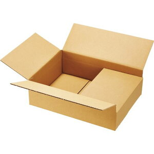 TPS n_{[ A4TCY Bt[g ^Cv 1pbN(20)(BFK-A4-100) ڈ݌=