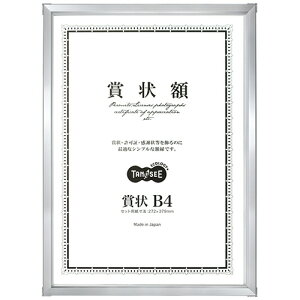 TPS A~܏z ܏B4 Vo[ 1(T-125818) ڈ݌=