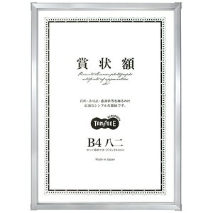 TPS A~܏z B4 Vo[ 1(T-125819) ڈ݌=