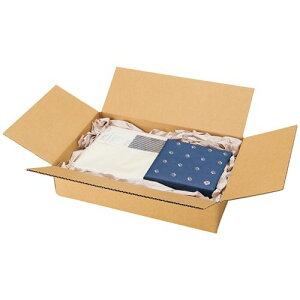 TPS zp_{[ Bt[g 60-A4 1pbN(20)(BF-60-A4) ڈ݌=