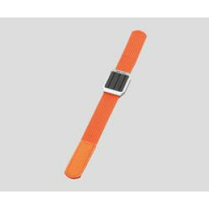 ÓdCXgoh@IW (1) 񂹏i