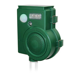 \[[[d QQbފ 3̉Ō/LEDtbV/zd/(SLI-SCR210) 񂹏i