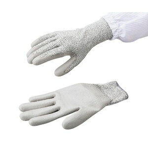 AY ϐؑnd܁@L@1o (1o)(DCPGG-300ESDL) ڈ݌=