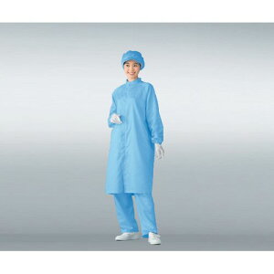 AY oAS207CijpR[gj@u[@4L (1) 񂹏i