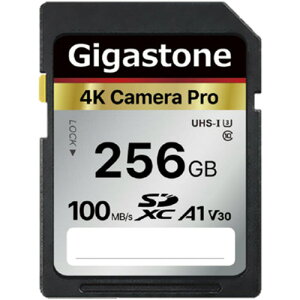 Gigastone SDXCJ[h 256GB V30 UHS-1 U3 A1 1(GJSX-256GV3A1) ڈ݌=