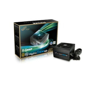 FSP FSP 80PLUS GOLDF ATX750Wd Z~W[^Cv(HGS-750M) 񂹏i
