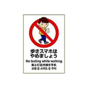 qTS HISAGO XebJ[X}z֎~A4(KLS037) 񂹏i