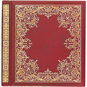 iJoV NAKABAYASHI A-LS-1 tGAo LTCY X^_-h 񂹏i