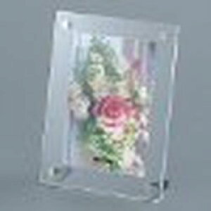 iJoV NAKABAYASHI ANsN`[t[X^h |XgJ[h t-ACS-PC 񂹏i