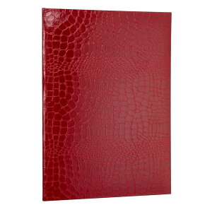 iJoV NAKABAYASHI ؏t@C@A4@NXENR_Cc@bh(FSPT-A4C-R) 񂹏i