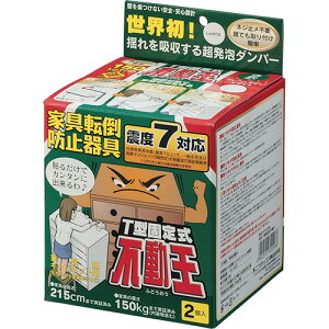 s񃉃ebNX T^Œ莮s zCg 1pbN(2)(FFT-009) ڈ݌=