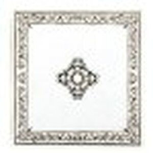 iJoV NAKABAYASHI A-SF-5A tGAo STCY [Y 񂹏i