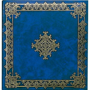 iJoV NAKABAYASHI A-SU-2 tGAo STCY i 񂹏i