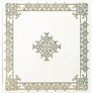 iJoV NAKABAYASHI A-SU-5 tGAo STCY i 񂹏i