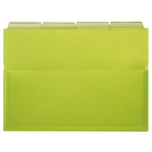 CI LION PP|Pbgz_[(G[) A4 O[ }`t 1pbN(4)(PH-42A-G) ڈ݌=