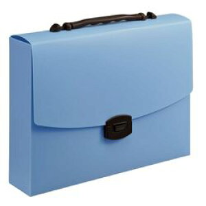 CI LION LOobO CA-173(SC)(128-25) 񂹏i