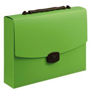 CI LION LOobO CA-173(FK)(128-26) 񂹏i