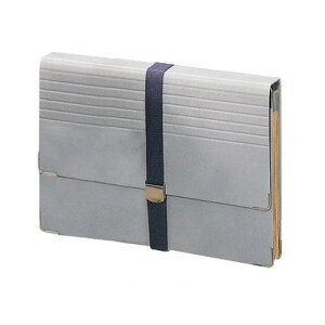 CI LION hLgt@C A4 12|Pbg 1(DC-411N) ڈ݌=