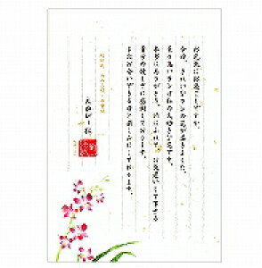 Gkr[ `邫B5ⳁ@ft@(5300204) 񂹏i
