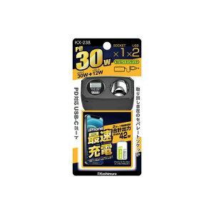 JV Zp[g\Pbg PD30W / o[VuUSB(KX-238) 񂹏i