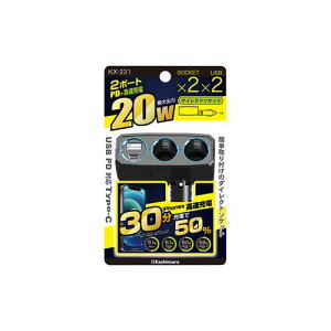 JV 2A_CNg\Pbg PD20W / o[VuUSB(KX-231) 񂹏i