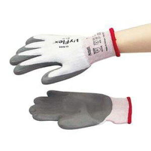 AZ ϐؑn܁@AZR@nCtbNXR@S@bh (1o)(11-644-7) 񂹏i