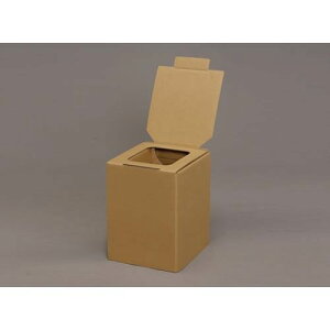 ACXI[} ȈՃgC BTS-250(4905009732487) 񂹏i